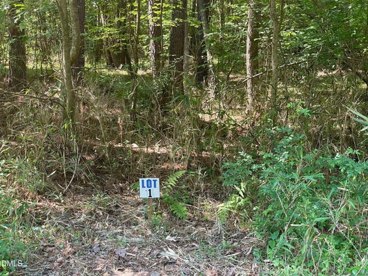 LANDMARK RD, WILLOW SPRING, NC 27592 - Image d8c5dfd738f757209242e72315e1f2f5/3559070337