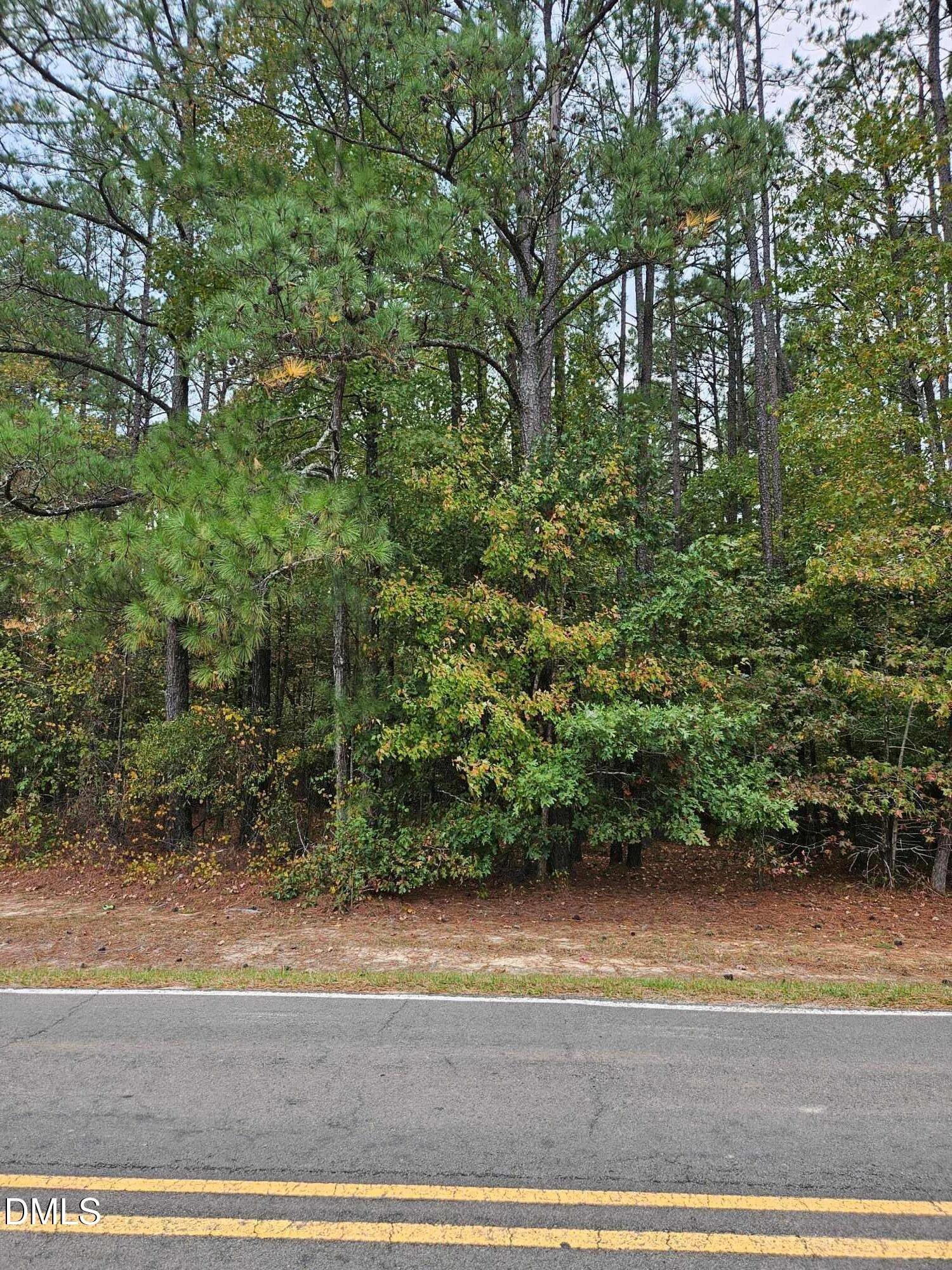 2805 Redwood #4b Road
