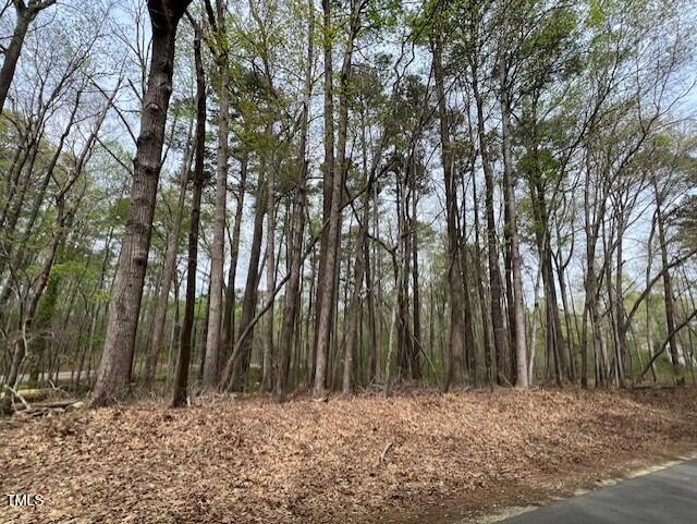 0 Lot 336 Forest Hills Drive