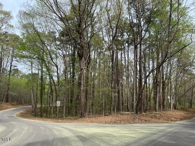 0 Lot 336 Forest Hills Drive