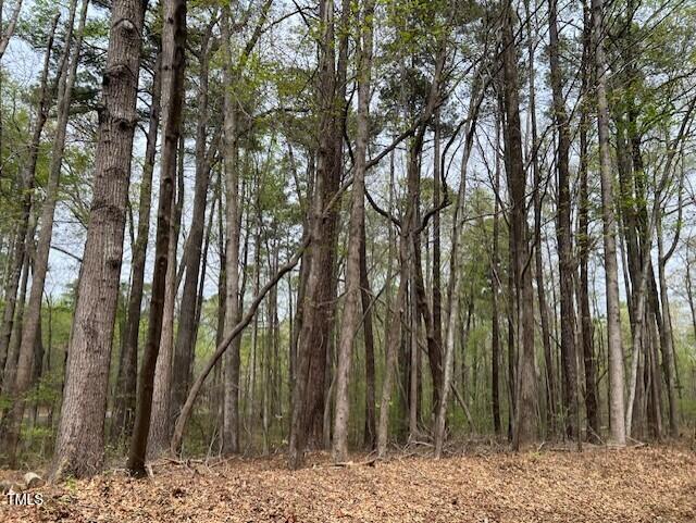 0 Lot 336 Forest Hills Drive