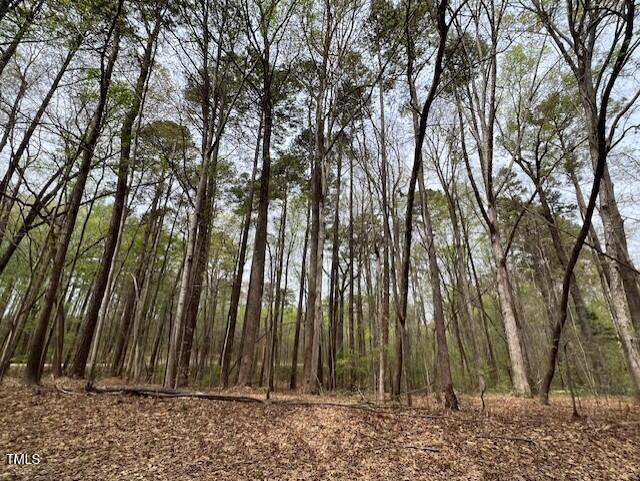 0 Lot 336 Forest Hills Drive