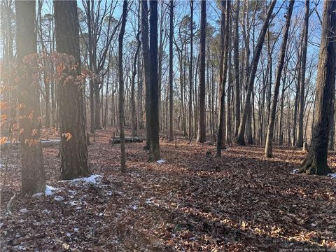 Oldham Lake Road Sanford NC 27330