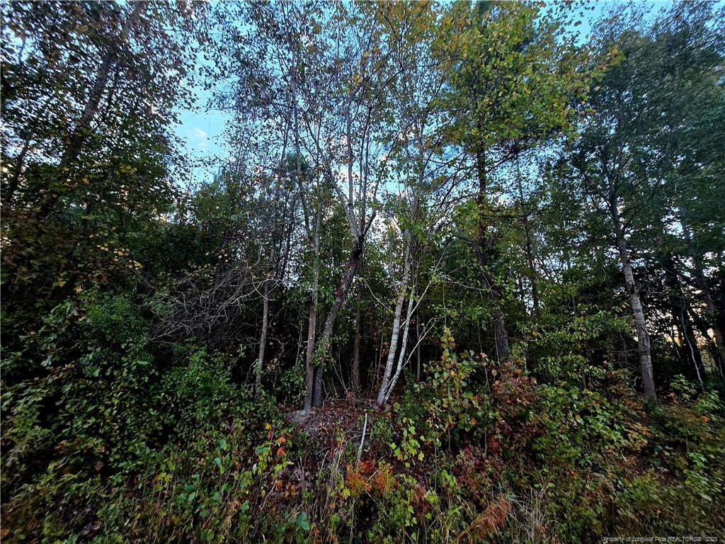 Walker Road