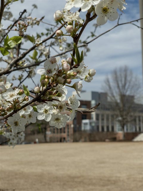 Photo for 2441 Campus Shore Drive 209