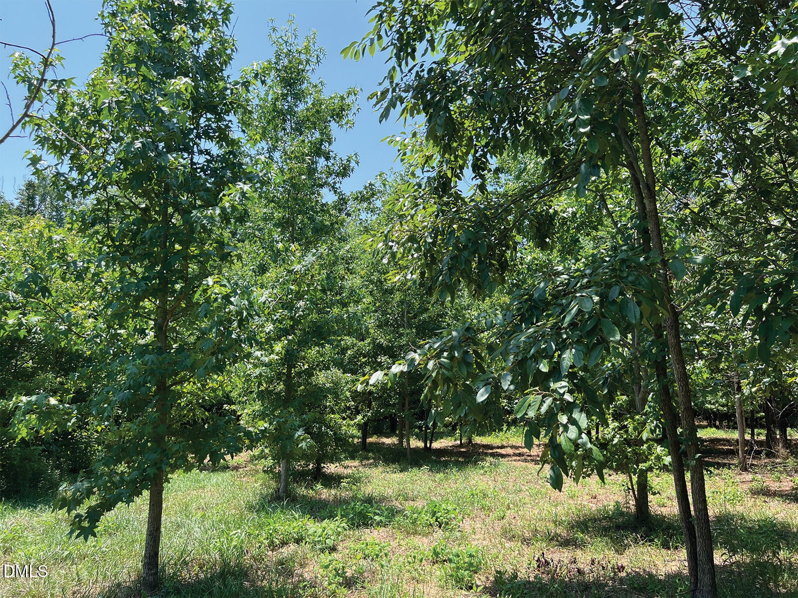 2340 Bowers Store Road