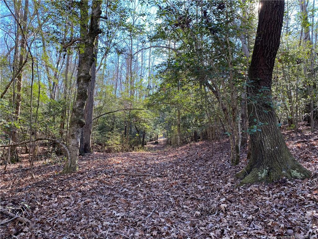 2055 Long Point Trail