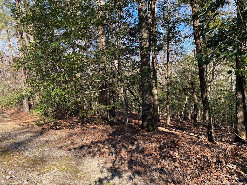 2055 Long Point Trail
