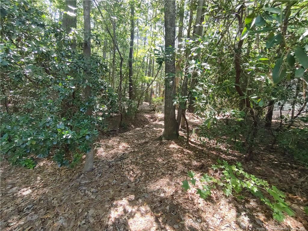 1454 W Carolina Drive