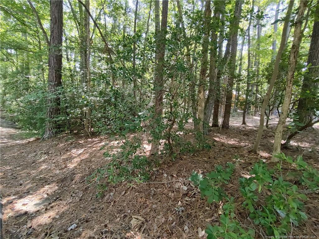 1454 W Carolina Drive