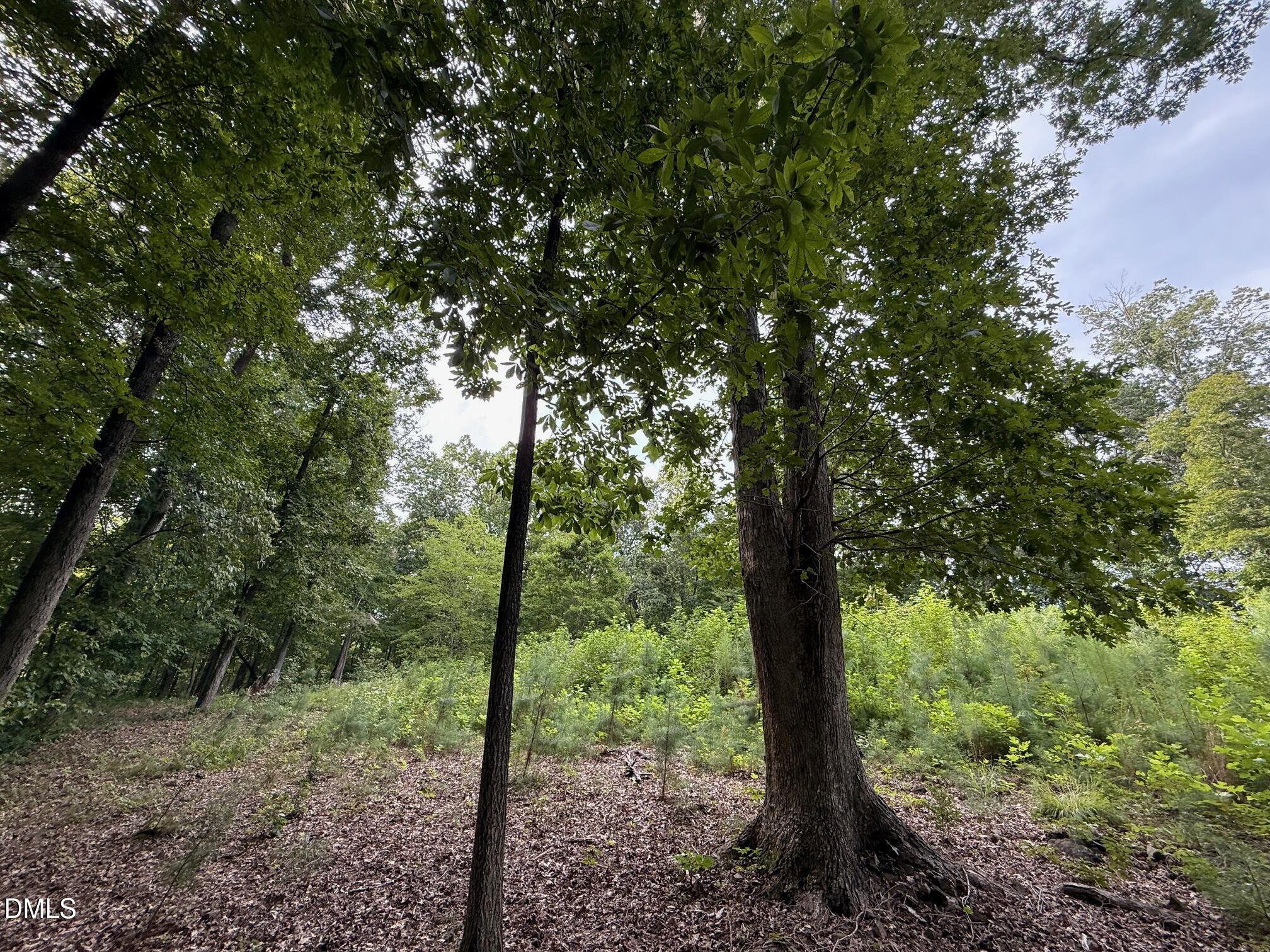 2641 Orange Grove Rd Road