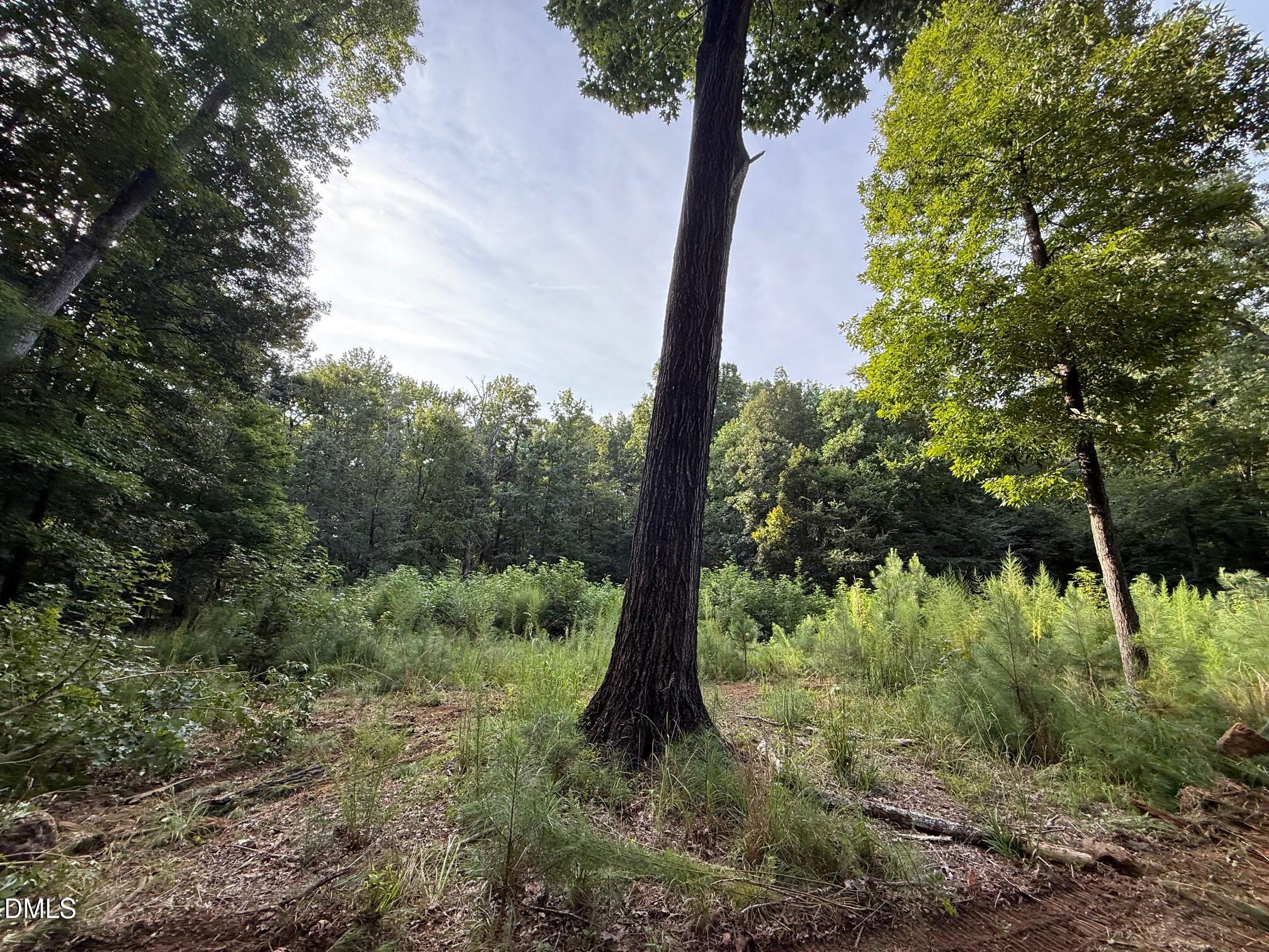 2641 Orange Grove Rd Road