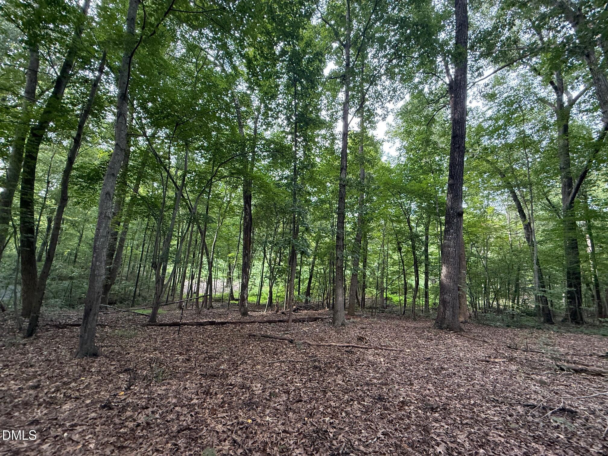 2641 Orange Grove Rd Road