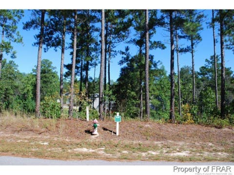 Photo of 162 Broadlake (636) Lane, Spring Lake, NC 28390 (MLS # LP734550)
