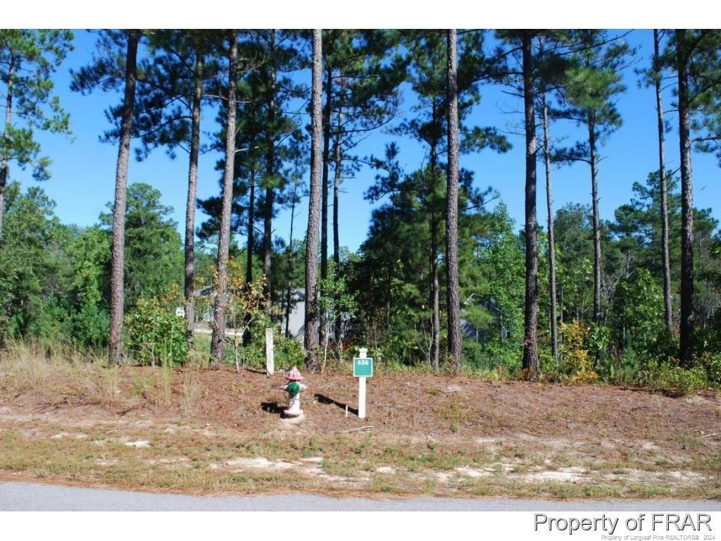 162 Broadlake (636) Lane
