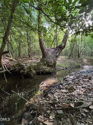 0 BEAVER DAM ROAD, CREEDMOOR, NC 27522 - Image df1f8b6f6df1a1ef77e72d4dbb2bf064/2371463141