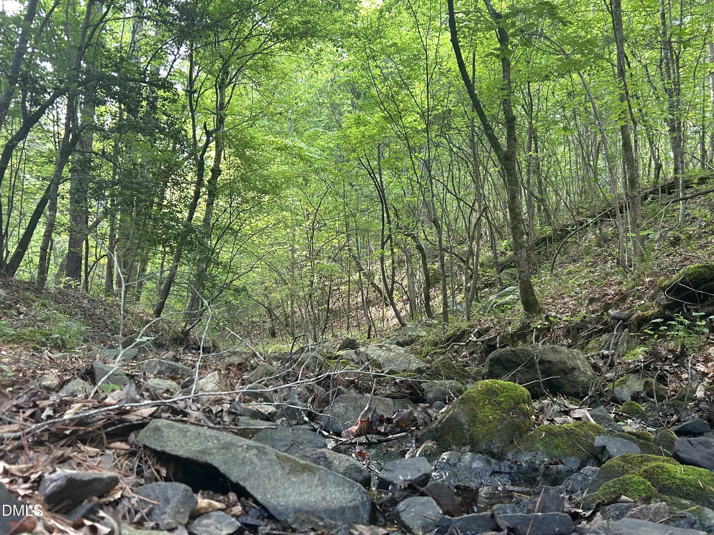0 Beaver Dam Road