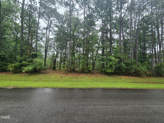 488 BAY SHORES RD, MERRITT, NC 28556 - Image e112974509c480986fe08f42d054e4f1/249791121