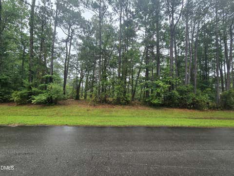 Photo of 488 Bay Shores Road, Merritt, NC 28556 (MLS # 10175590)