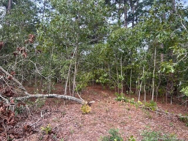 1218 & 1233 Loop Road