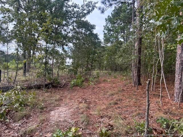 1218 & 1233 Loop Road