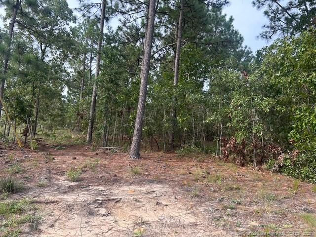 1218 & 1233 Loop Road