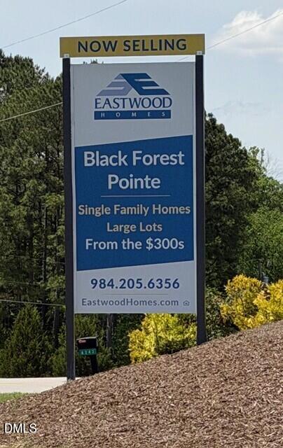 188 Black Forest Pointe Trail 48