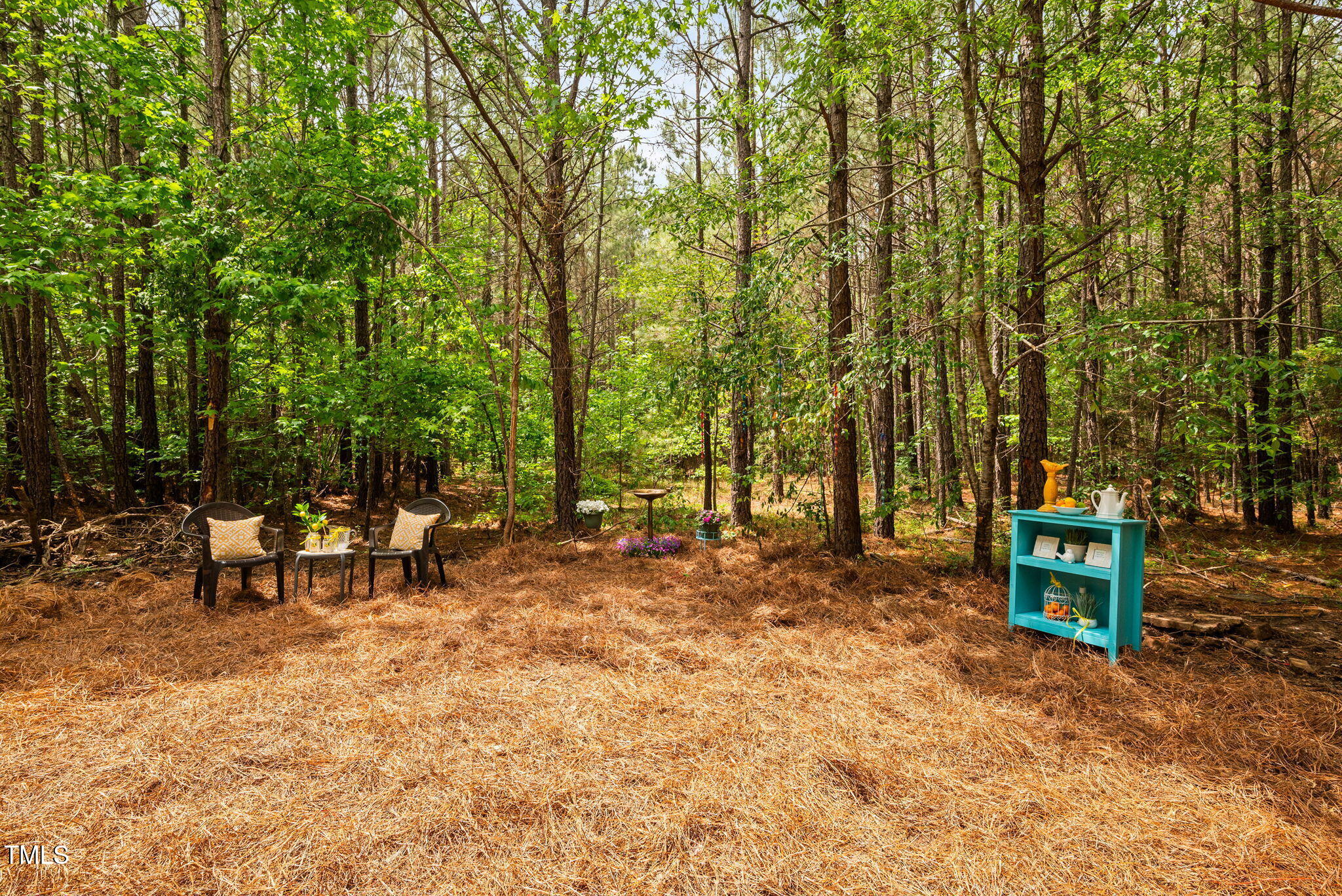 0 S Plank (Track 2) Road