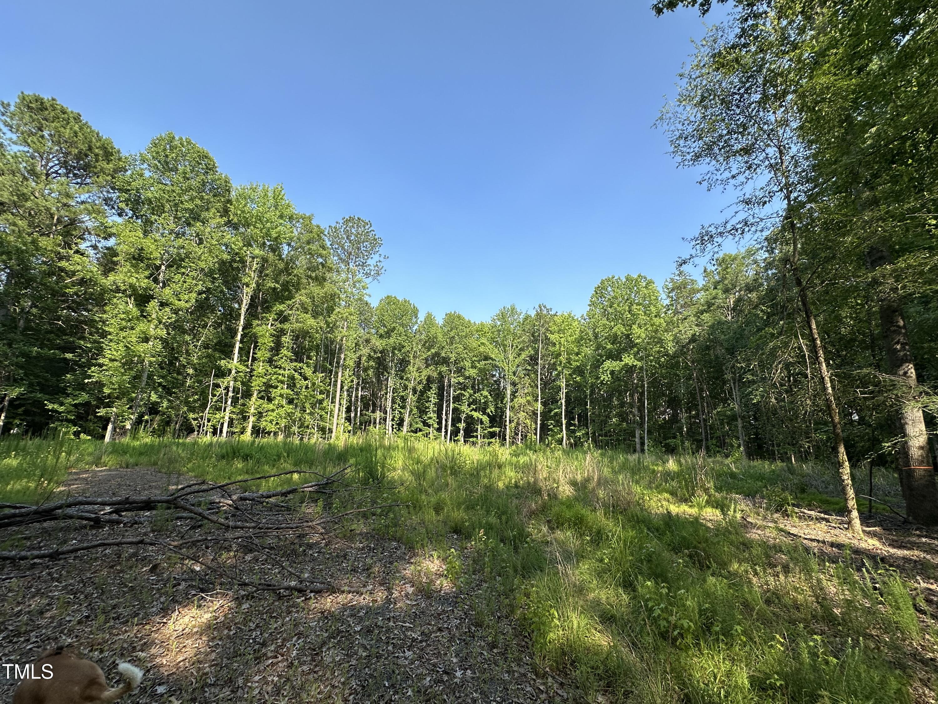8012 Stagville Road