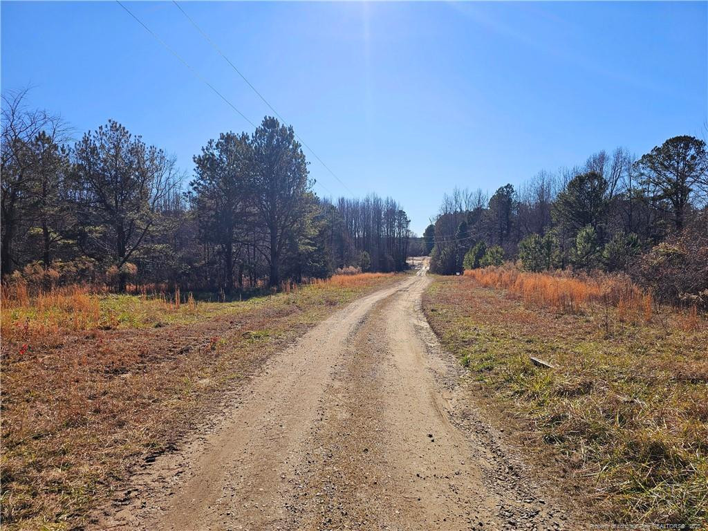 Lot 5 Dragonfly Lane