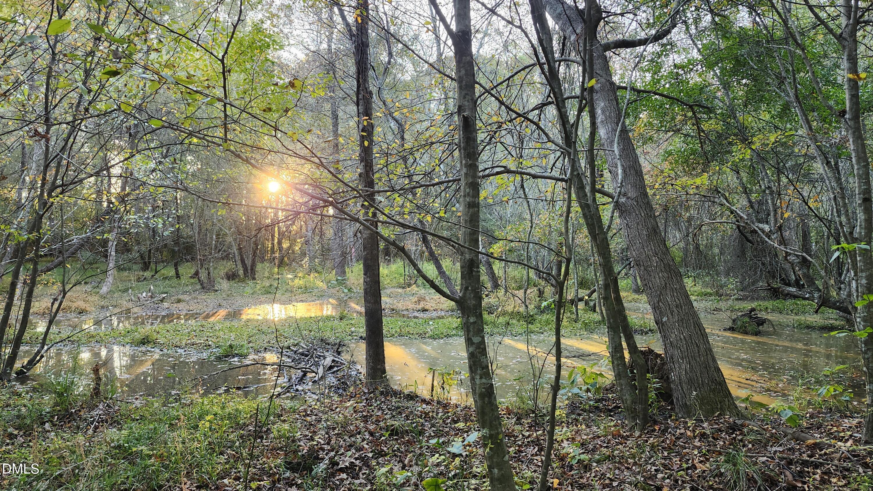 452 Brodie Rose Landing Way