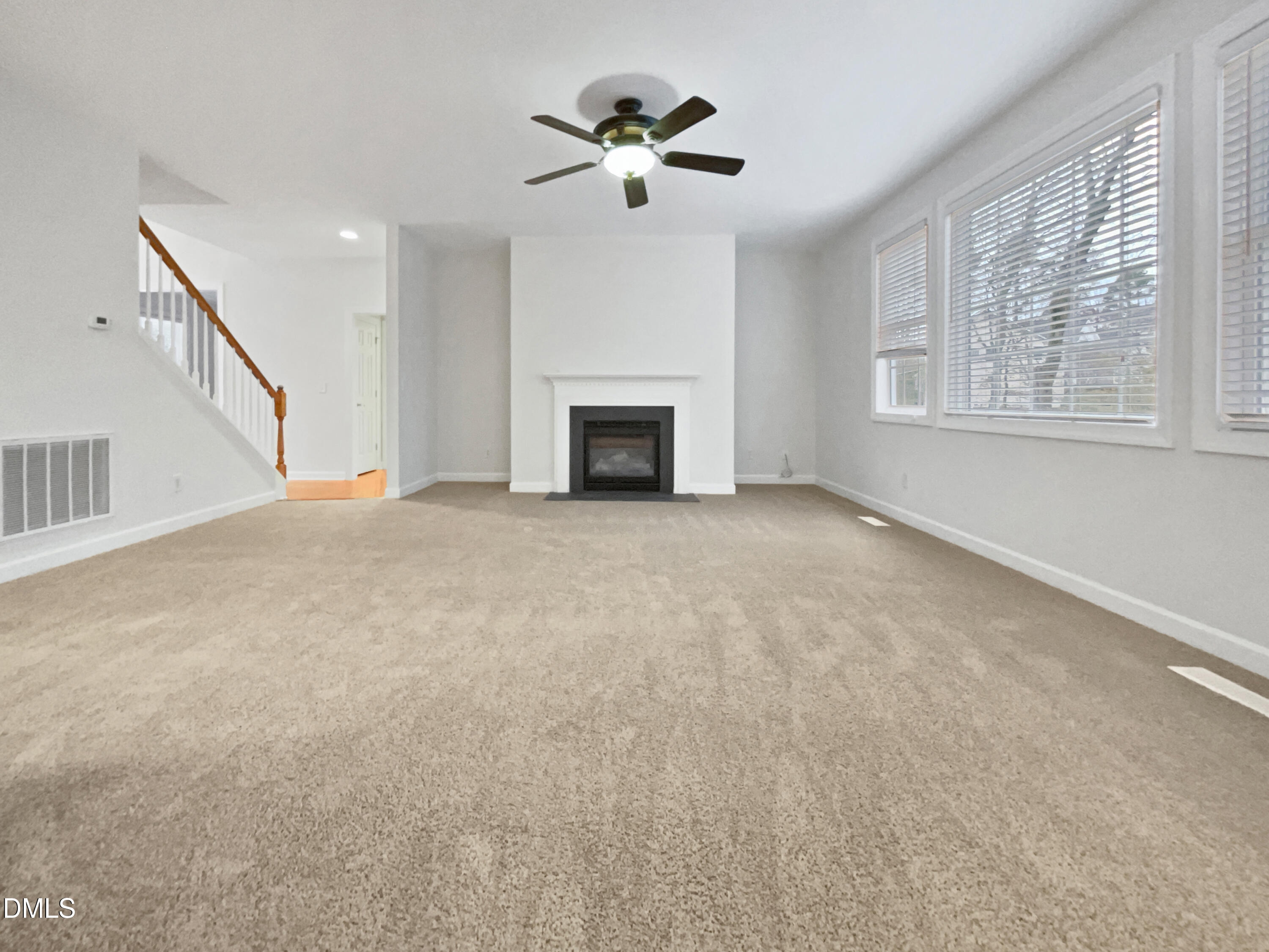 1320 Thorny Vine Court