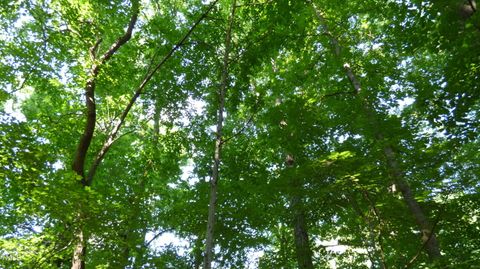 Lot 54 Forest Drive Graham NC 27253