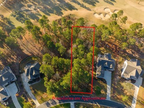 Photo of 130 Bur Oak Court, Pittsboro, NC 27312 (MLS # 10150044)