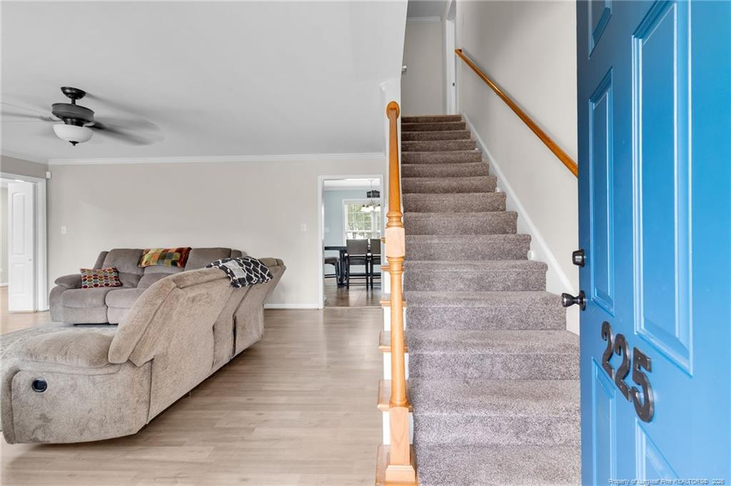 225 Timberline Drive