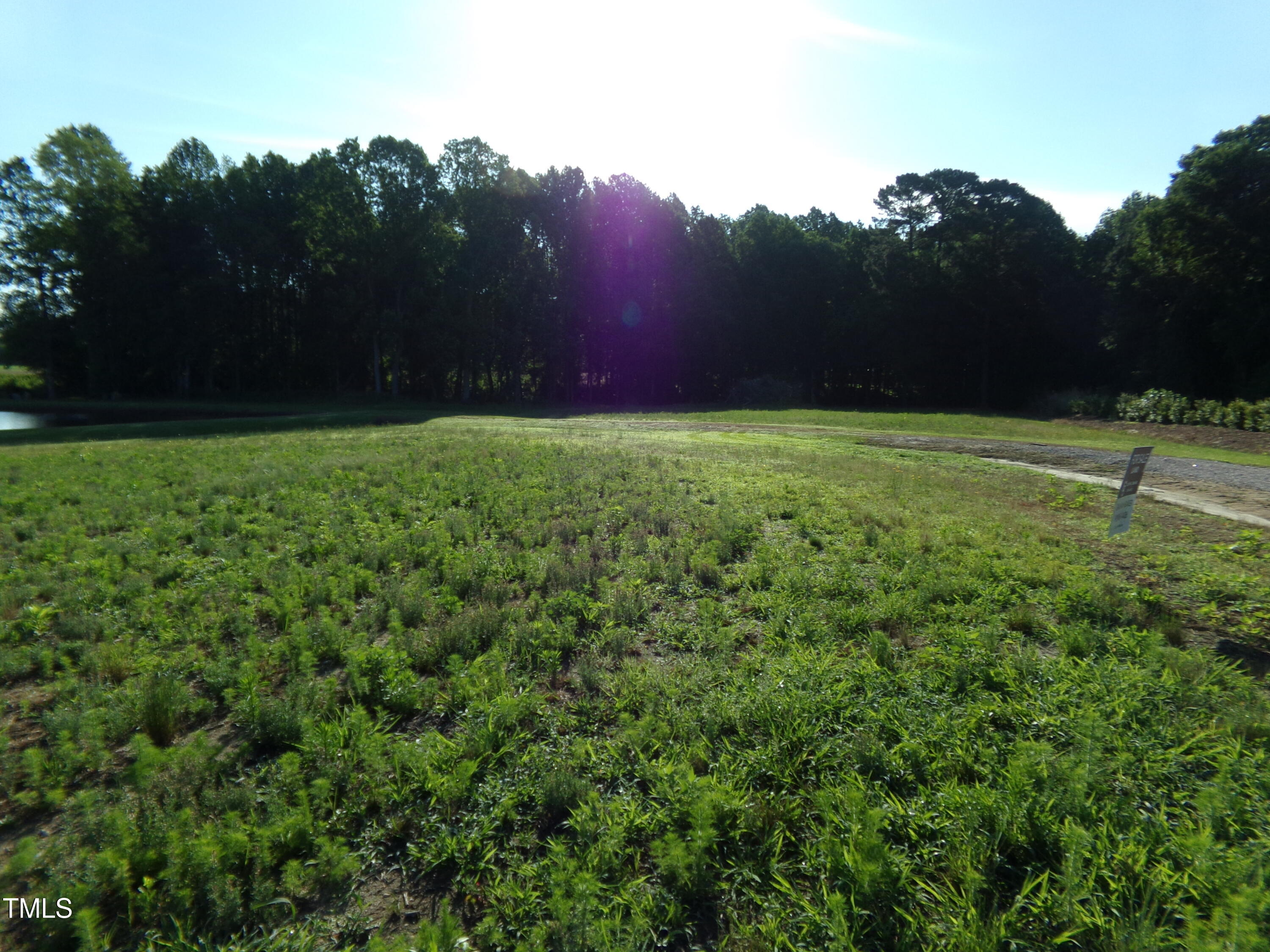 Lot 6 Triskel Lane