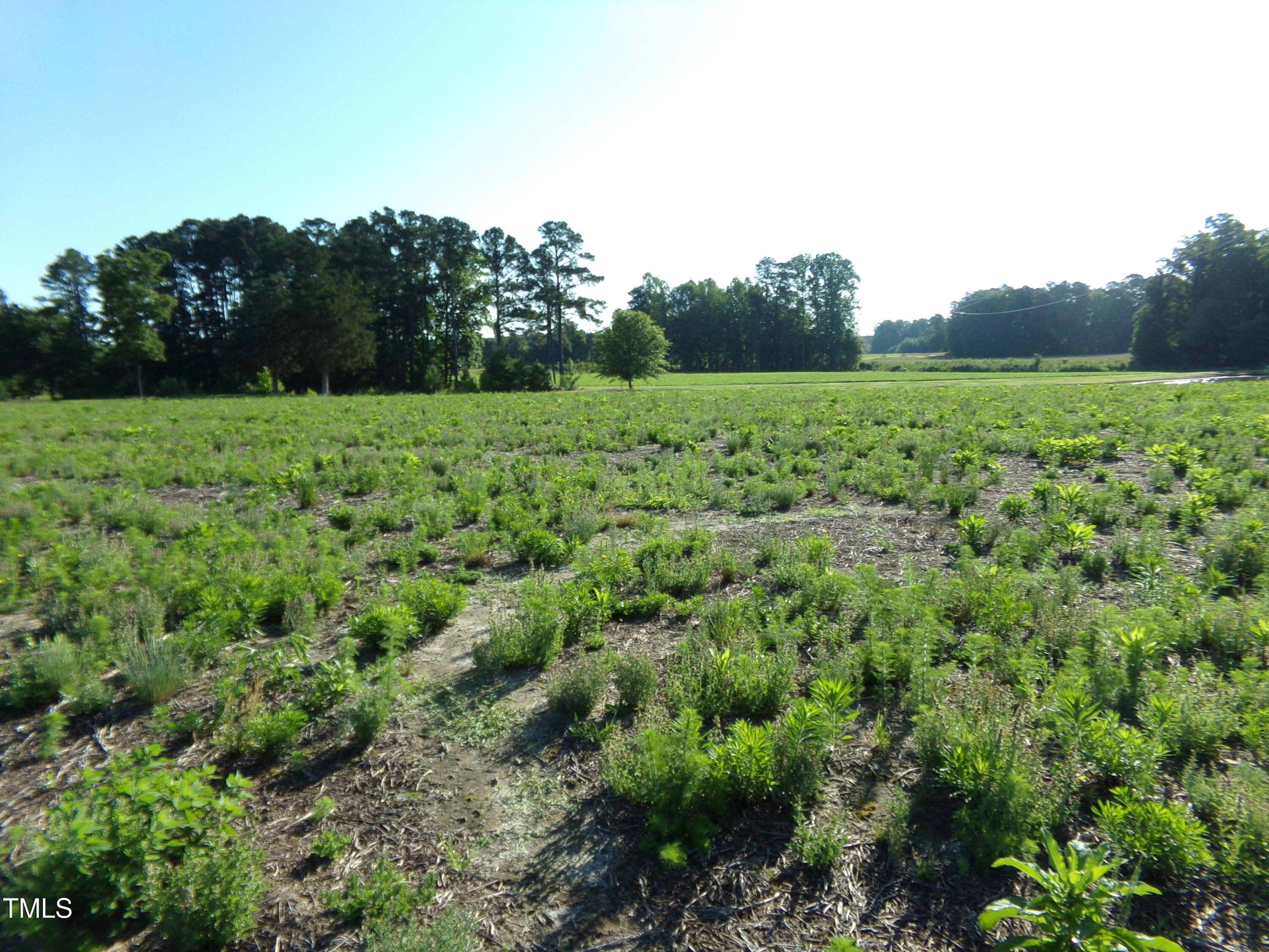 Lot 6 Triskel Lane