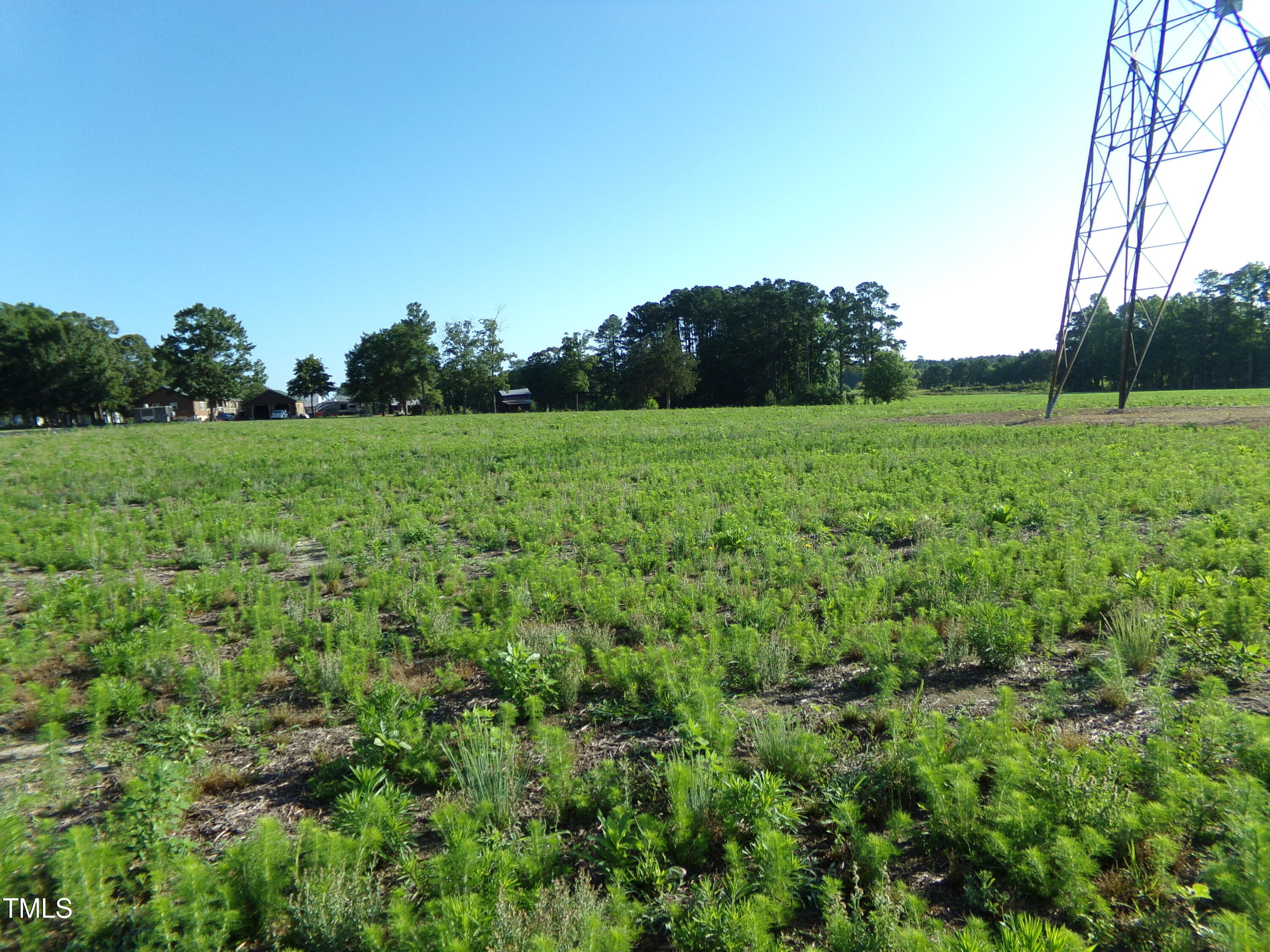 Lot 6 Triskel Lane