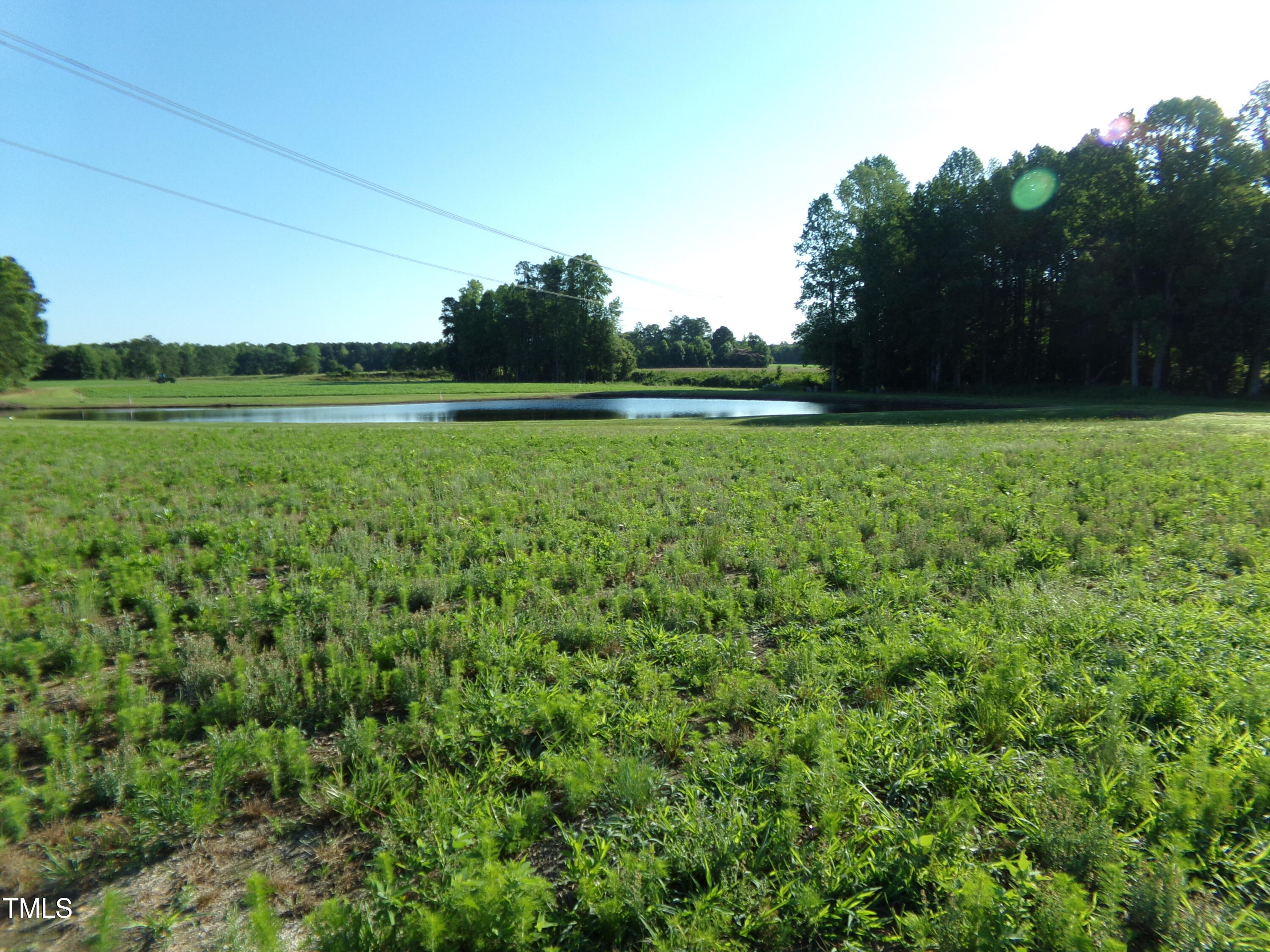 Lot 6 Triskel Lane