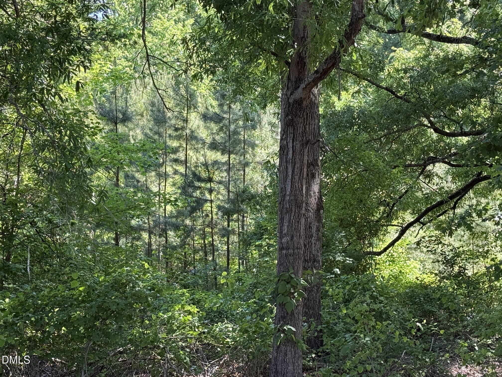 1.5 Ac Lot Country Club Road