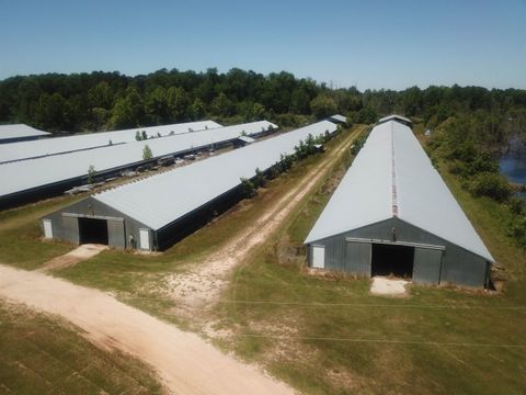 Agriculture in Bunnlevel NC 1643 Mcneill Hobbs Road.jpg