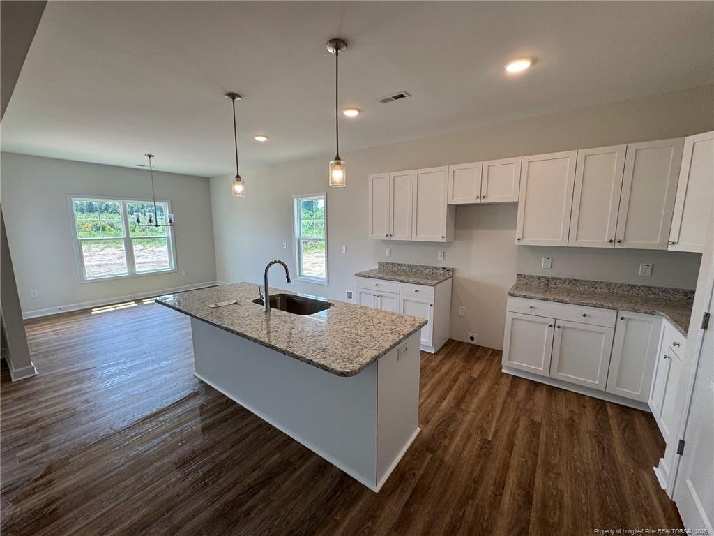 229 Seaford (Lot 10) Lane