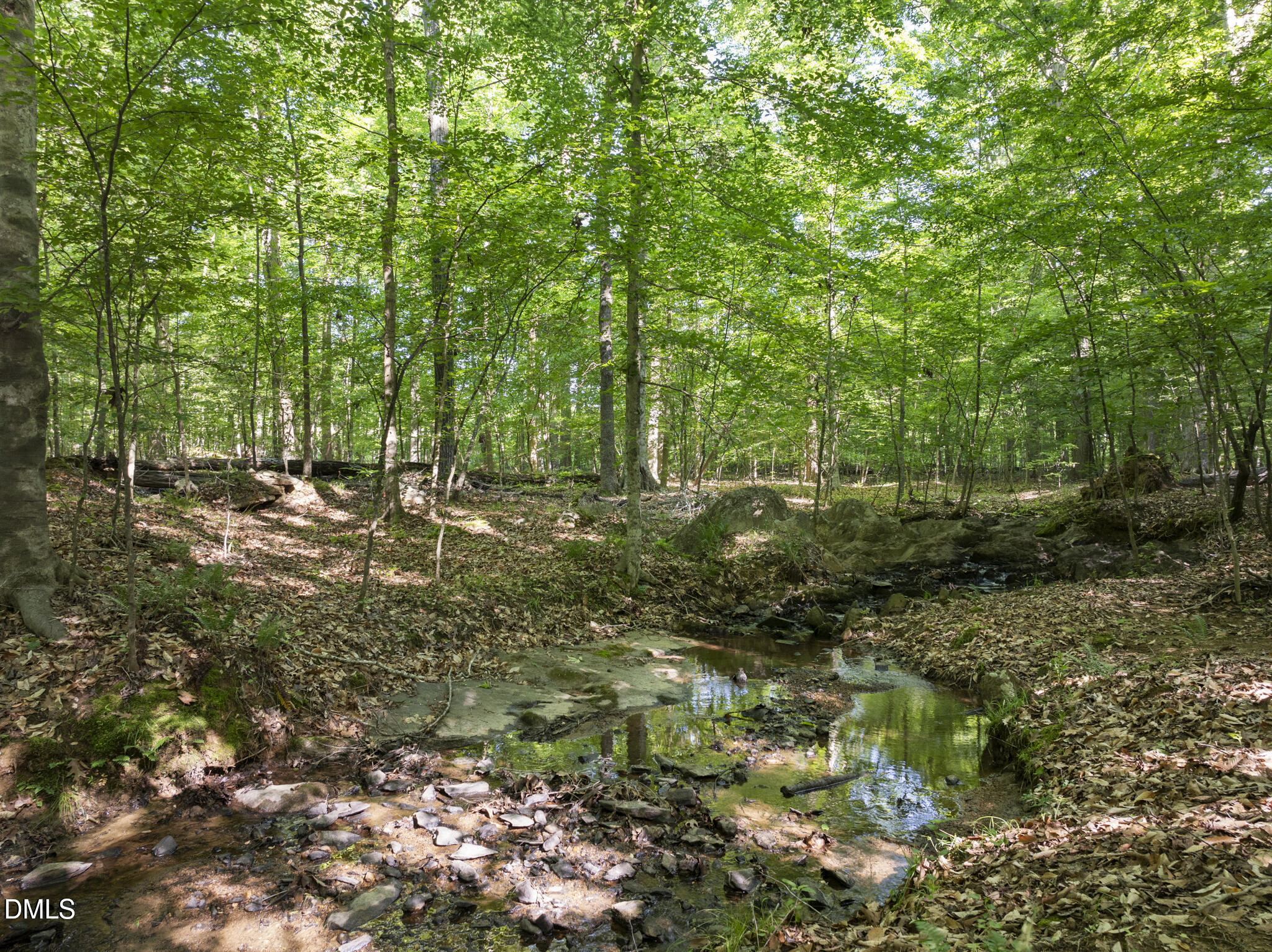 5500 N Carolina 86 (Lot 2)