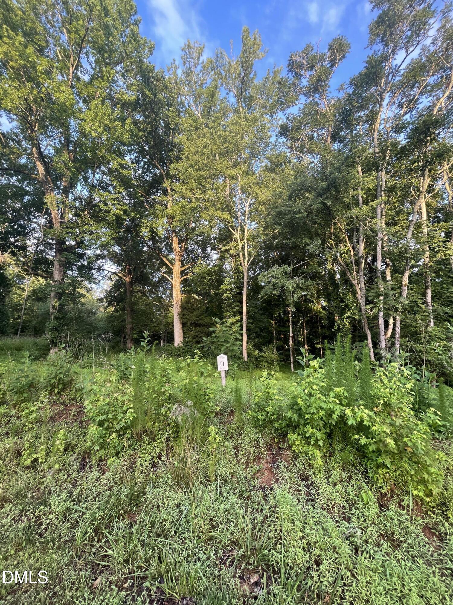 Lot 11 Gallant Fox Crossing