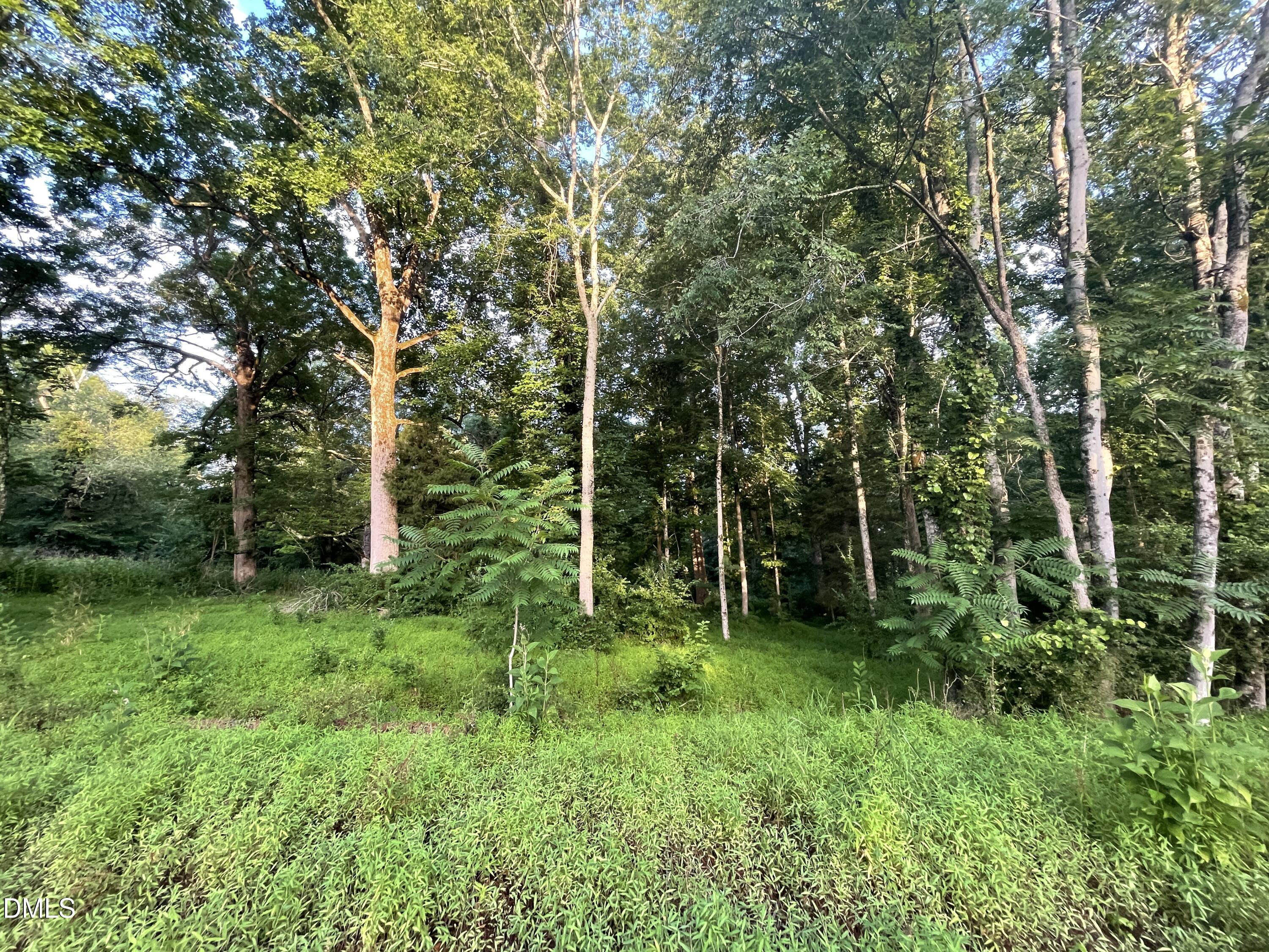 Lot 11 Gallant Fox Crossing