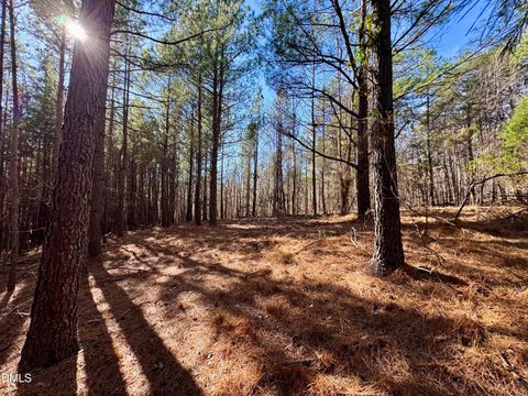 11901 Nc Highway 86 S Prospect Hill NC 27314