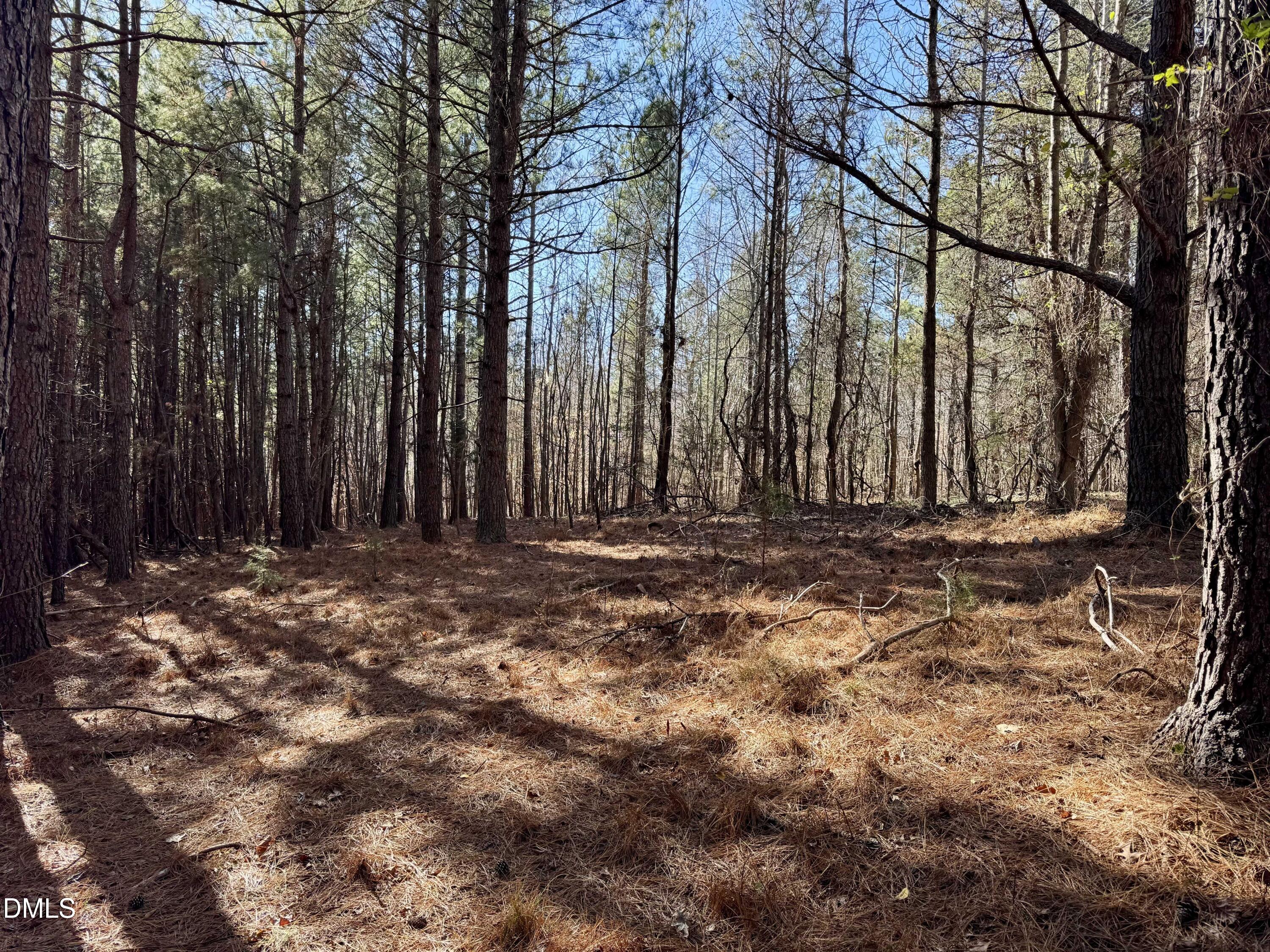 11901 Nc Highway 86 S