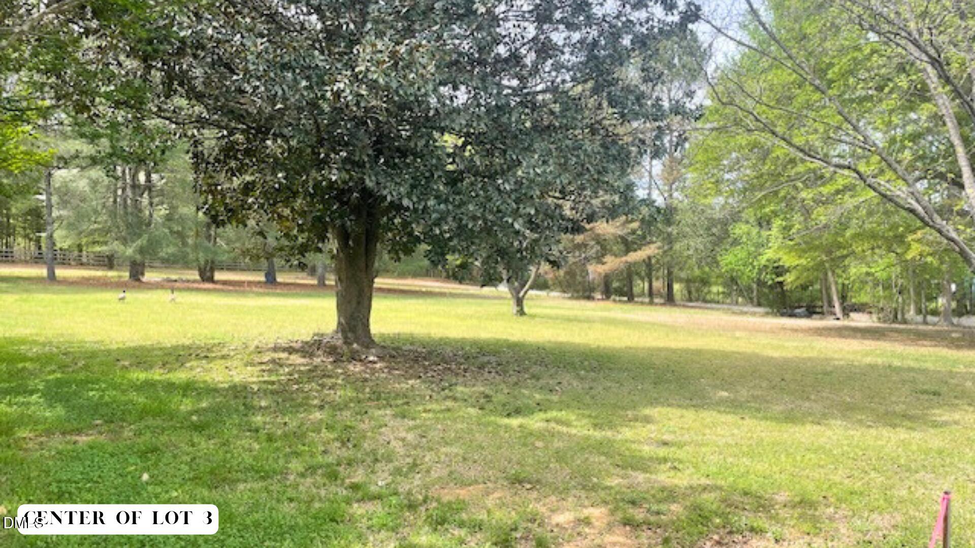 155 Weston Sky Ln