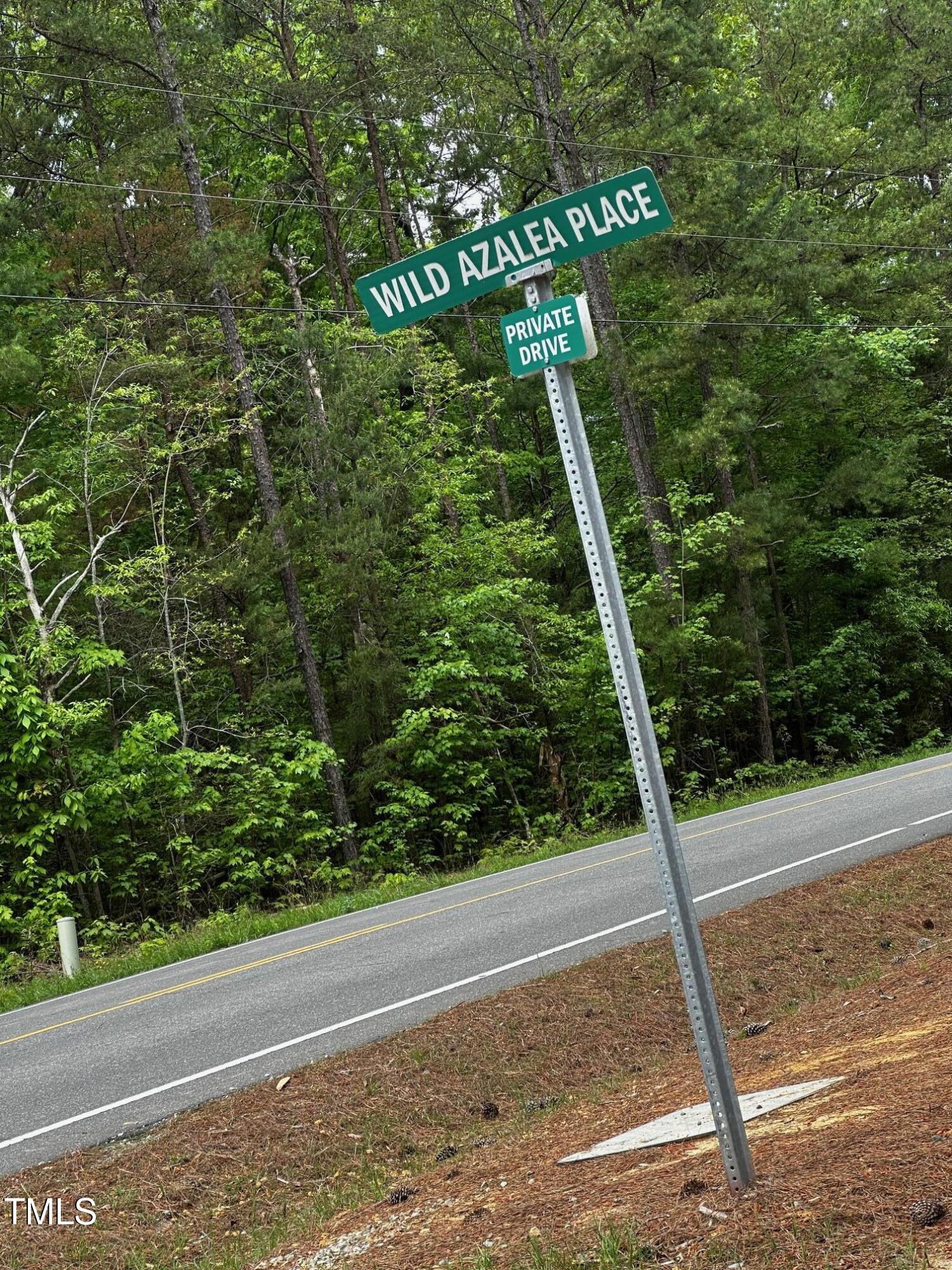 Lot 25 Wild Azalea Place