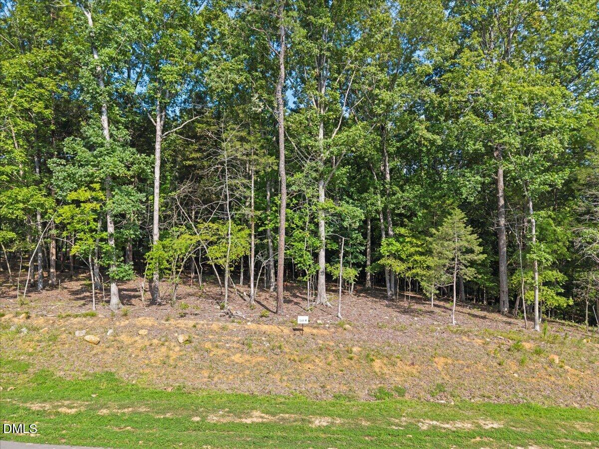 93 Firefly Overlook Road